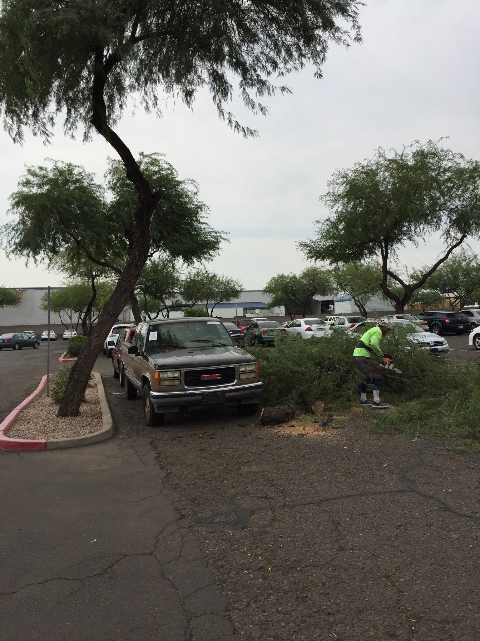 Why You Should Choose Us?