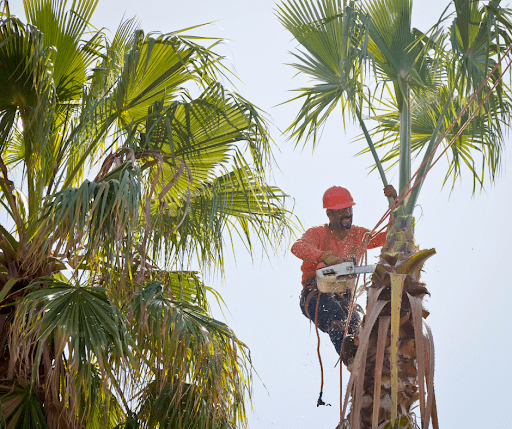 What You Get From Us?