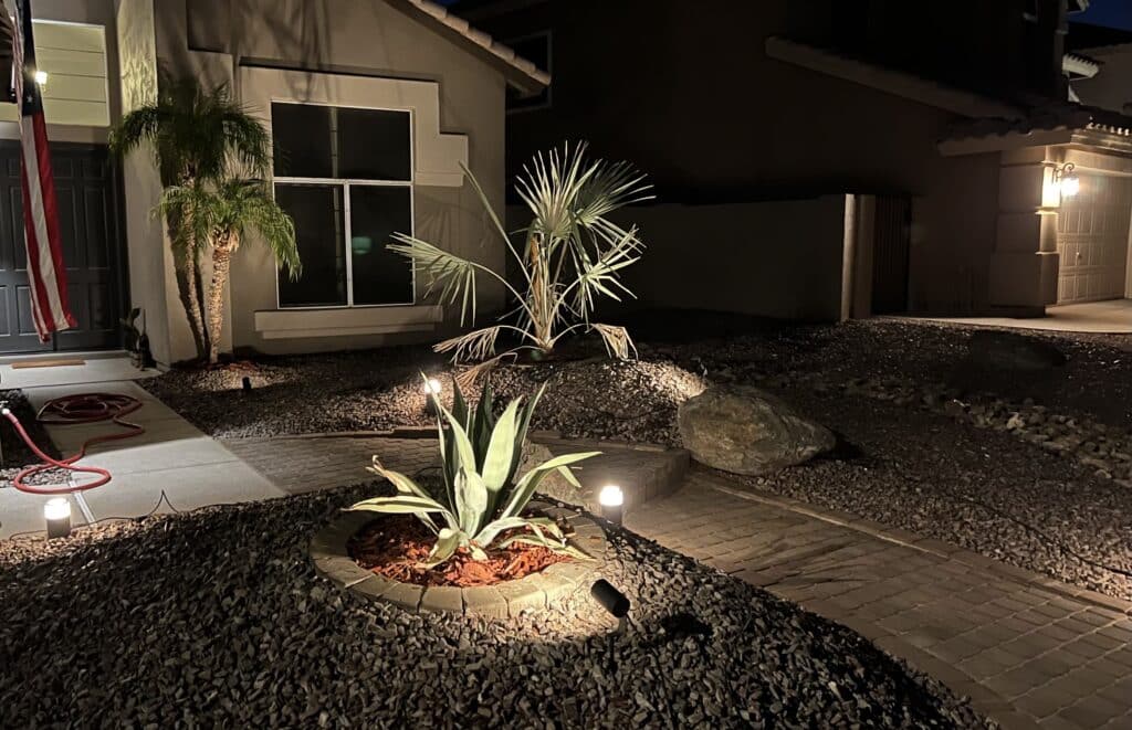 Discount Tree_tree removal Pompano Beach FL_featured image