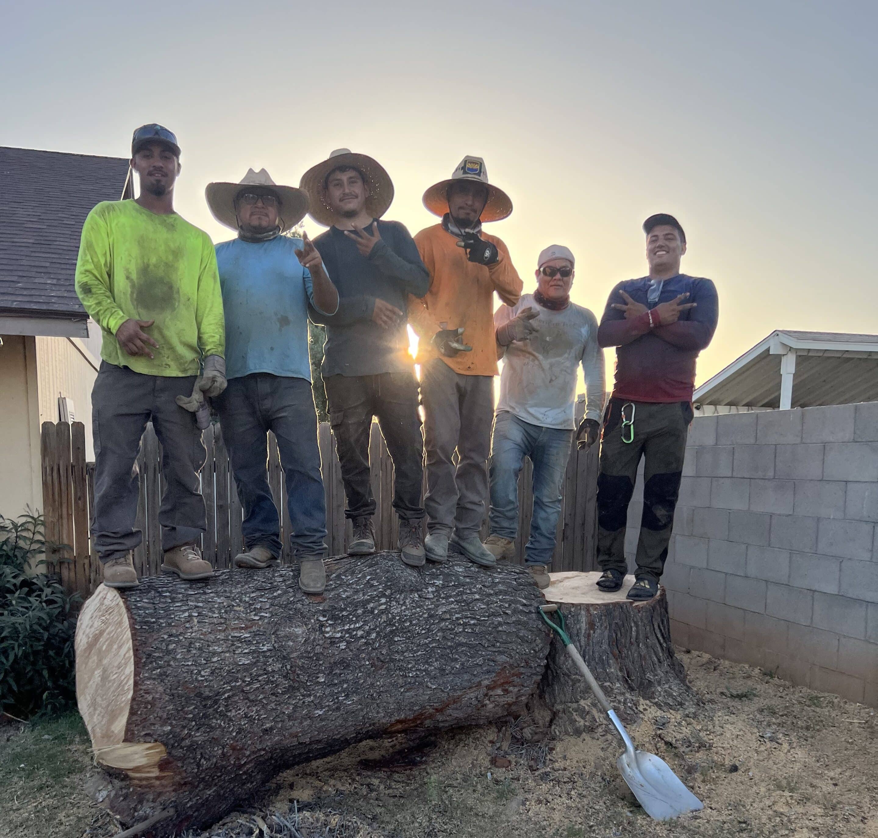 Alex Salgado-Discount Tree Service Alex Salgado-Discount Tree Service